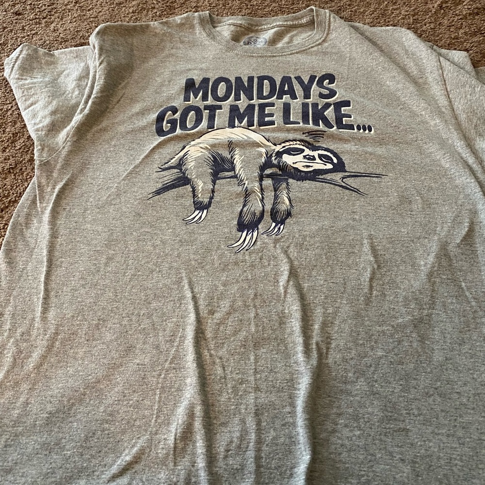 Gray ladies  short sleeve T-shirt